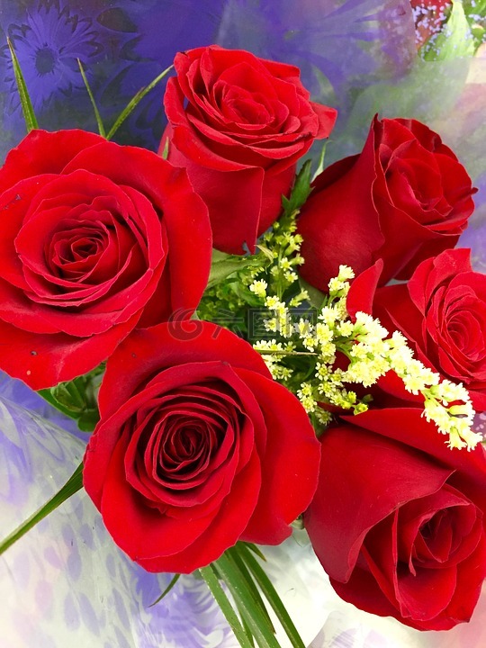 玫瑰,红色花,花束