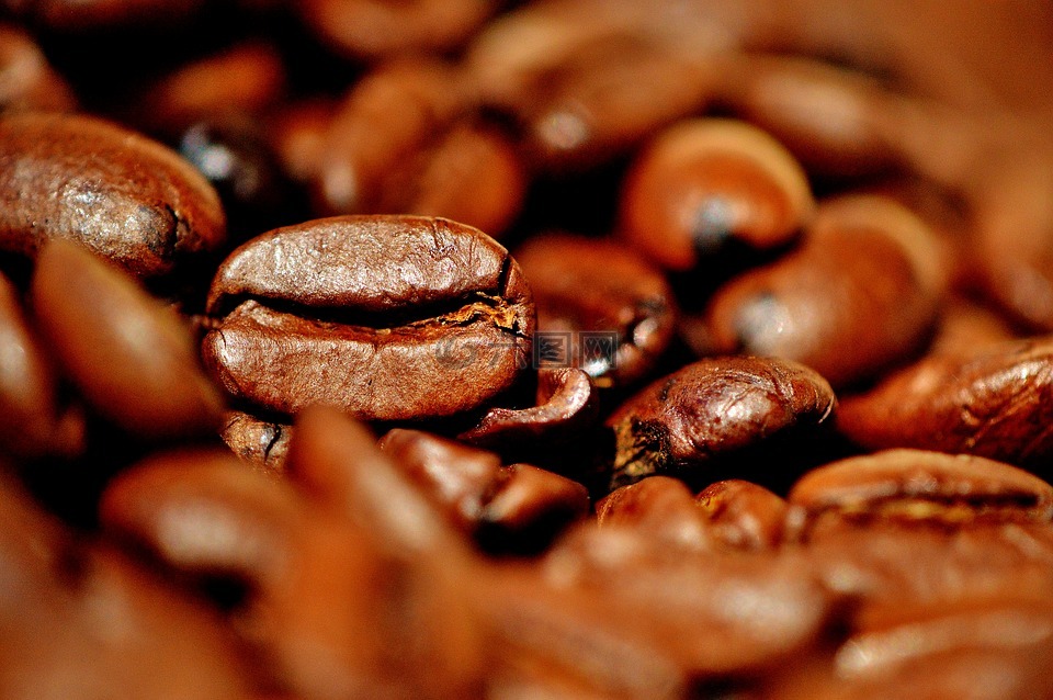 咖啡豆,咖啡,刺激物