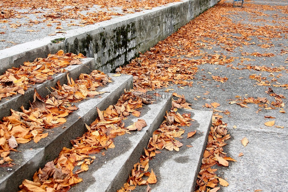 楼梯,干树叶,十月