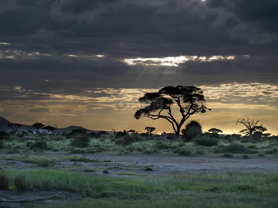 日落,景观,非洲