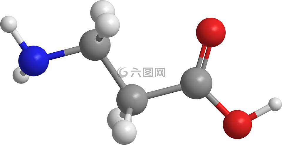 酸,aminopropanoico,羧酸
