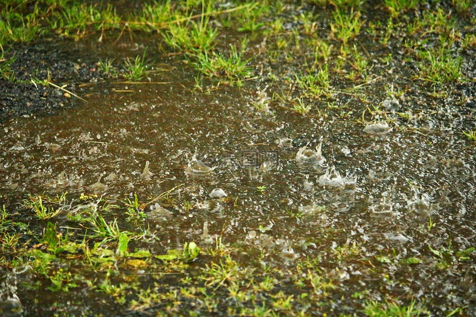 雨,水坑,滴