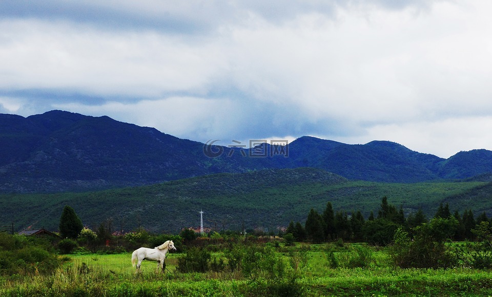简约,山水画,远方