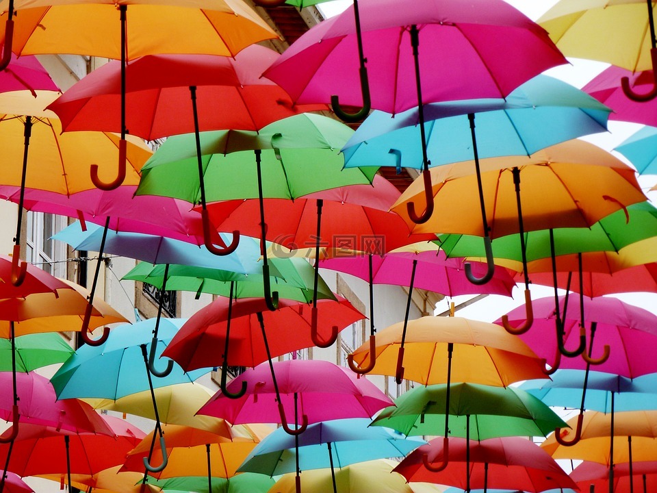 雨伞,丰富多彩,树荫下树
