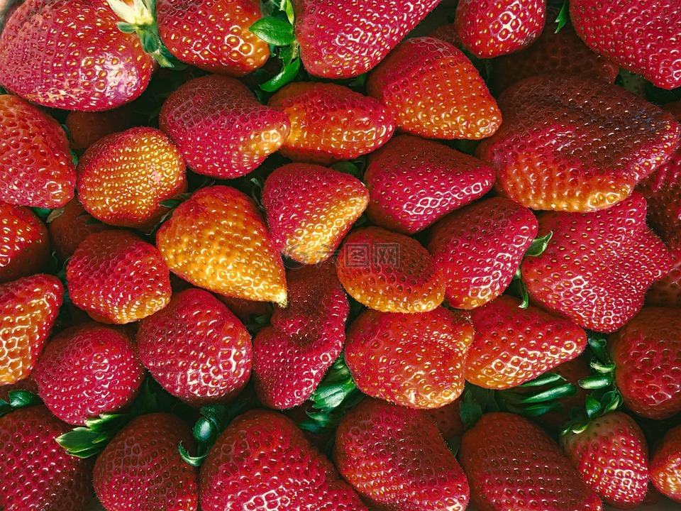 草莓,红,水果