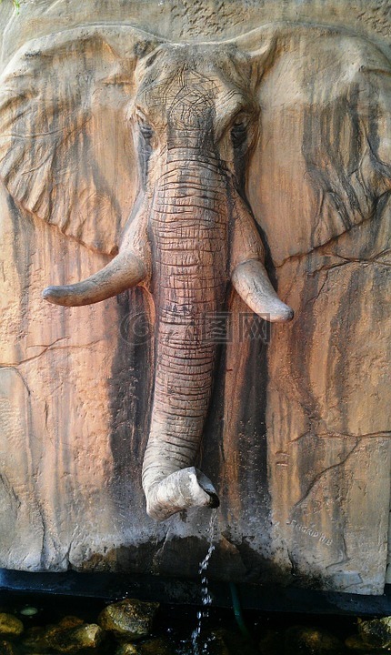 大象头,喷泉,南非