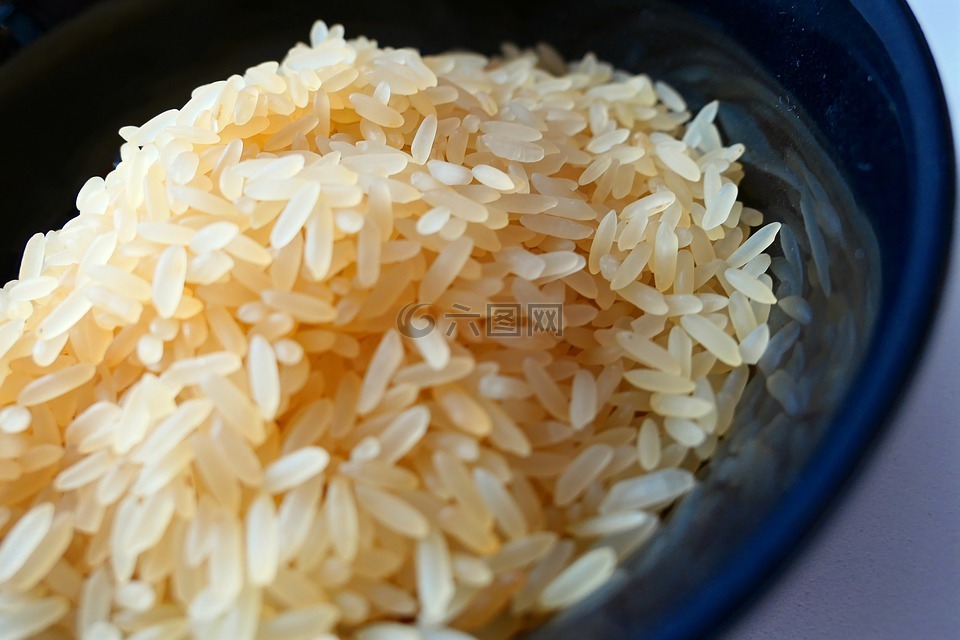 水稻,水稻钵,亚洲