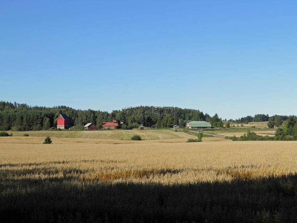 芬兰,农场,农村