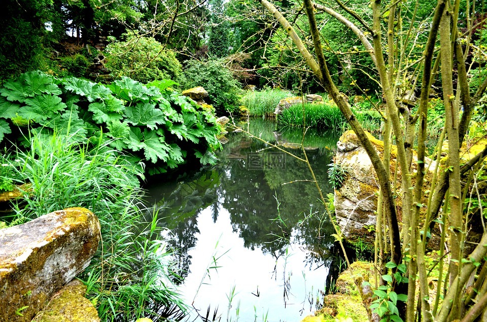 查茨沃思花园,植物,池