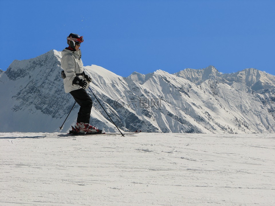 sci,阿尔卑斯山,滑雪者