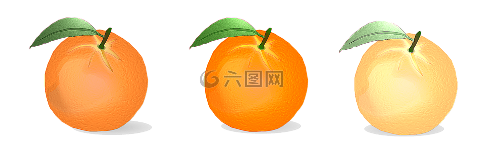 橙色,向量,柑橘属水果