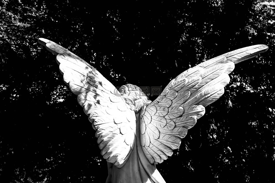 天使,翼,天使的翅膀