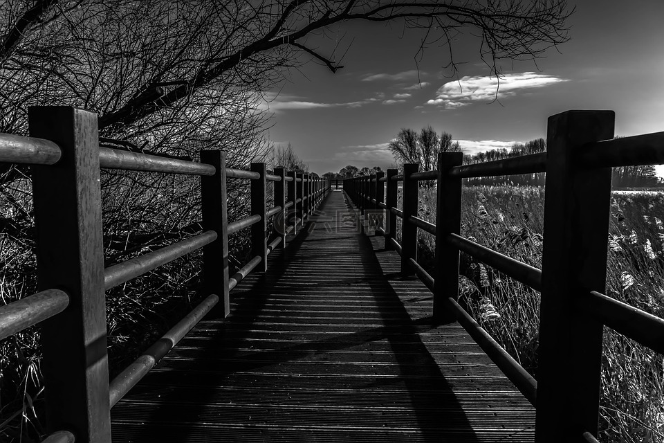 篱笆,黑色和白色的摄影,木