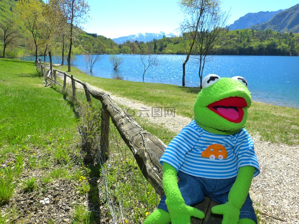 日本国天皇湖,柯,青蛙