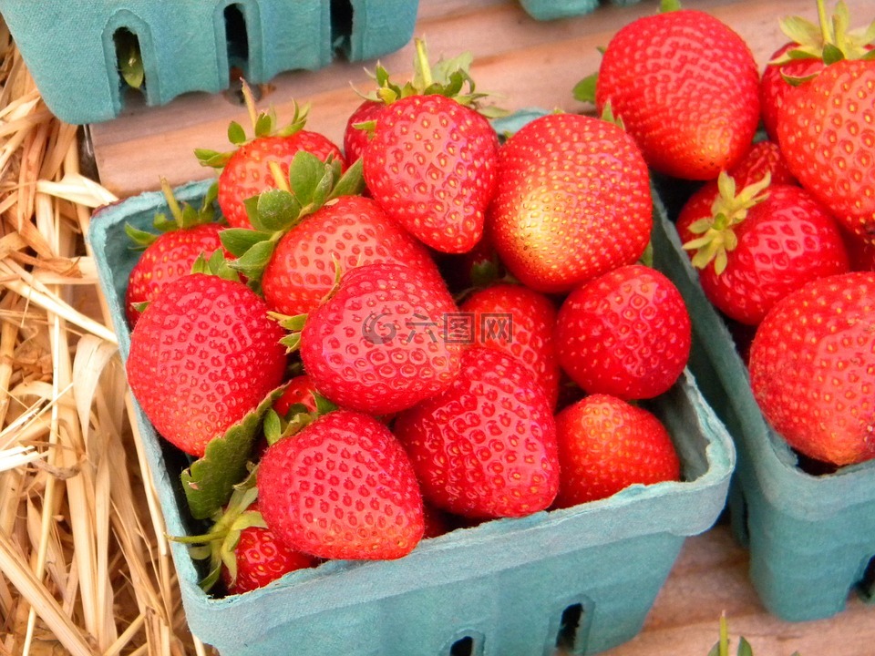 水果,草莓,篮
