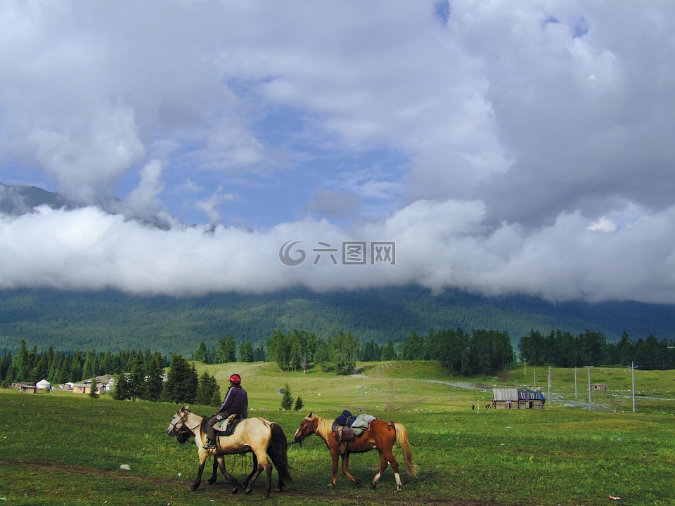 中国,新疆牧民转场,风景