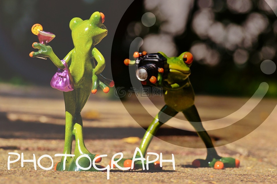青蛙,摄影师,模型
