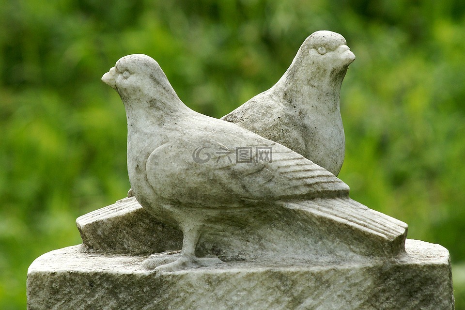 鸽子,雕塑,石