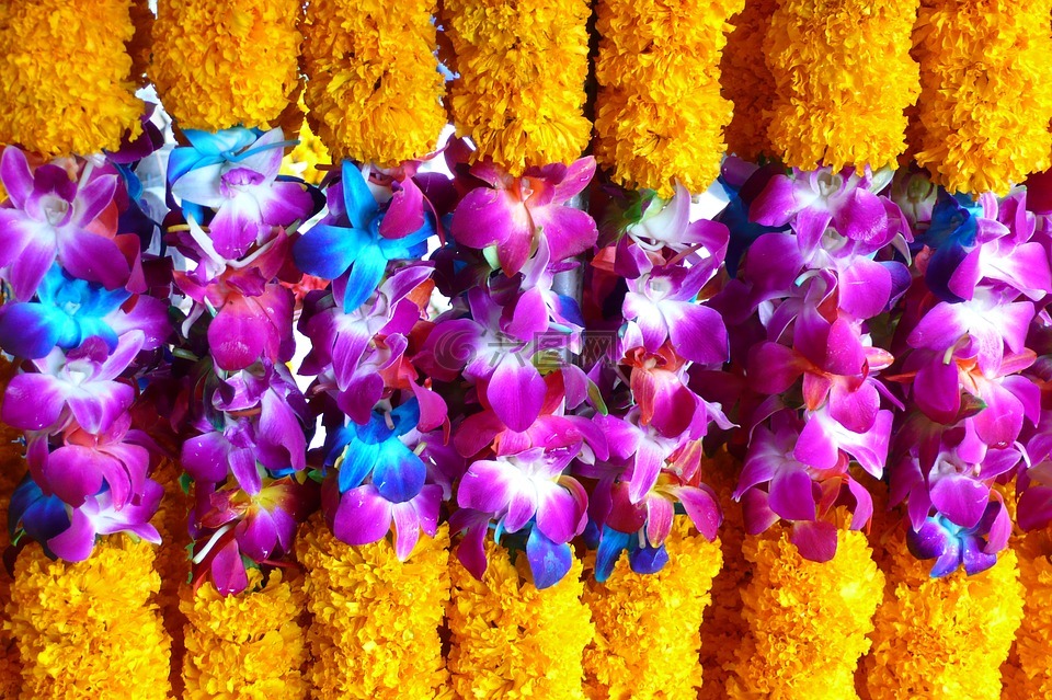 泰国,鲜花,礼物
