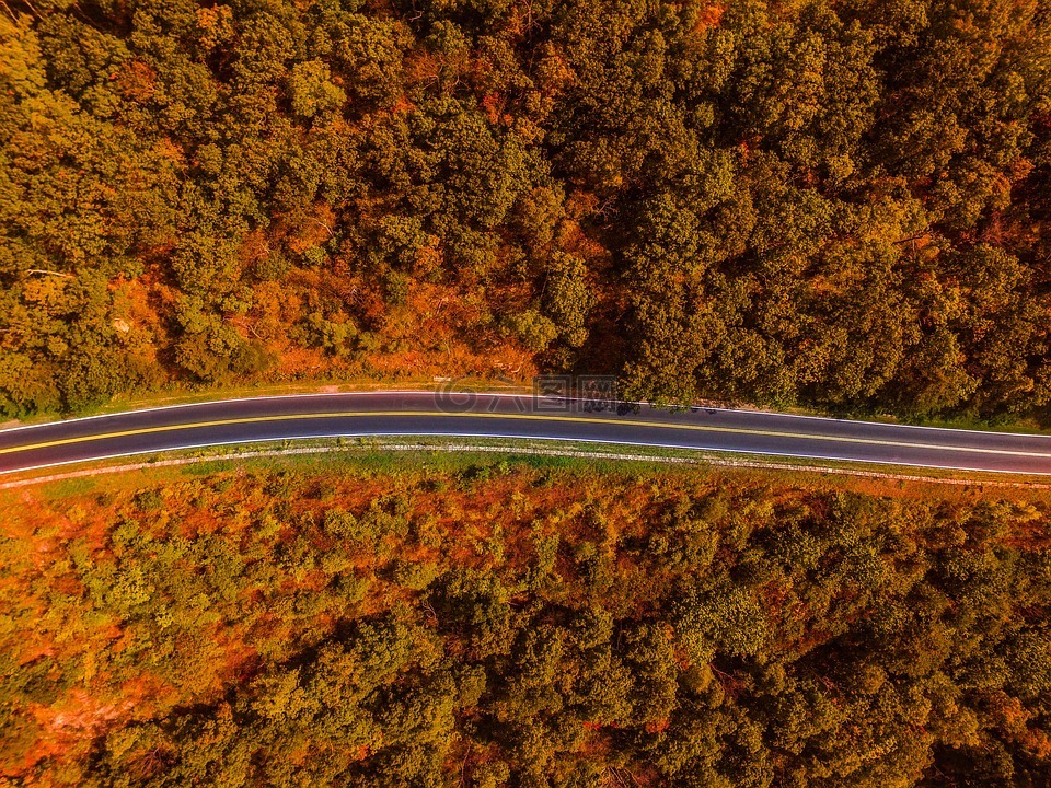 公路,航拍,秋