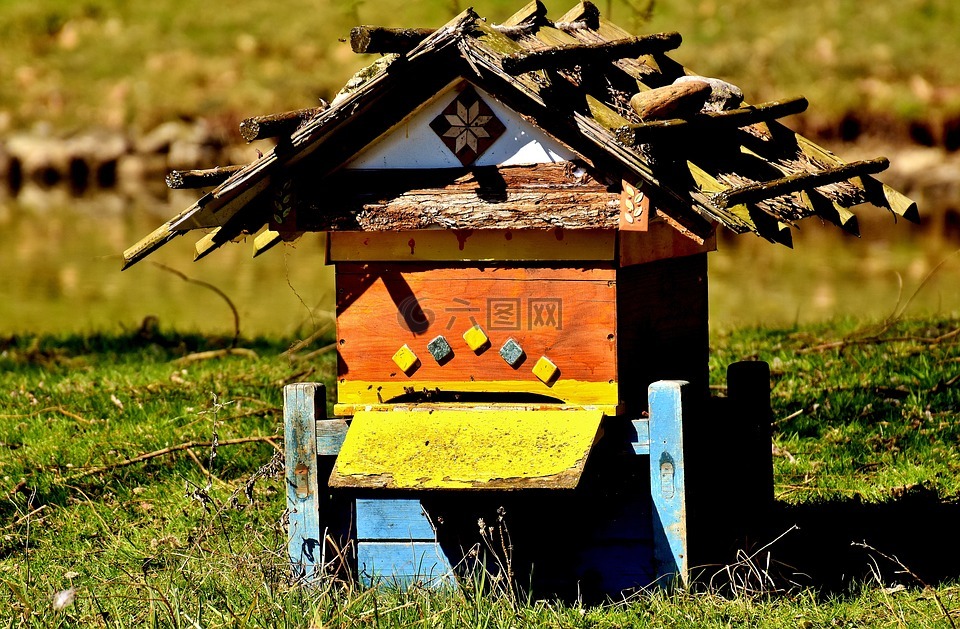 蜂箱,蜜蜂,木