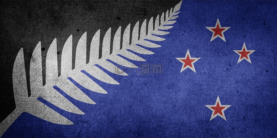 新西兰,替代方案,替代标志