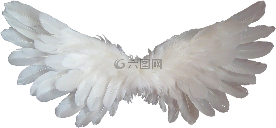 白,天使,翅膀