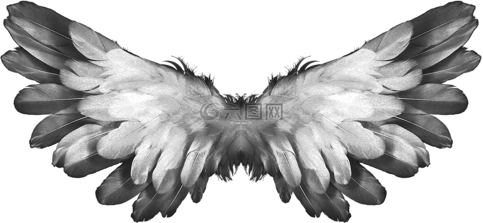 天使,翅膀,羽毛