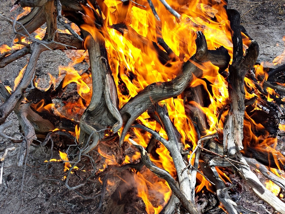 火,木材,燃烧燃烧