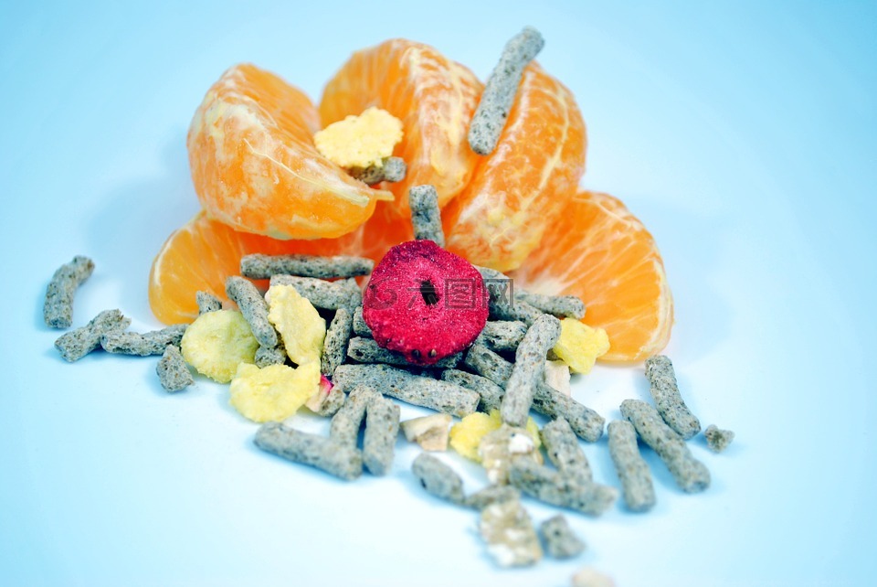 纤维,橘子,健康的饮食习惯