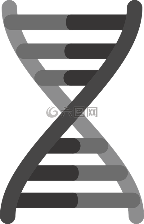 基因的图标,遗传学的图标,dna图标