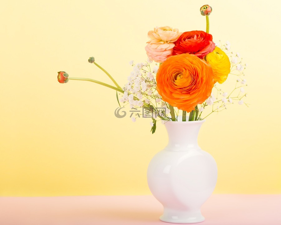 鲜花,花瓶,毛茛属植物