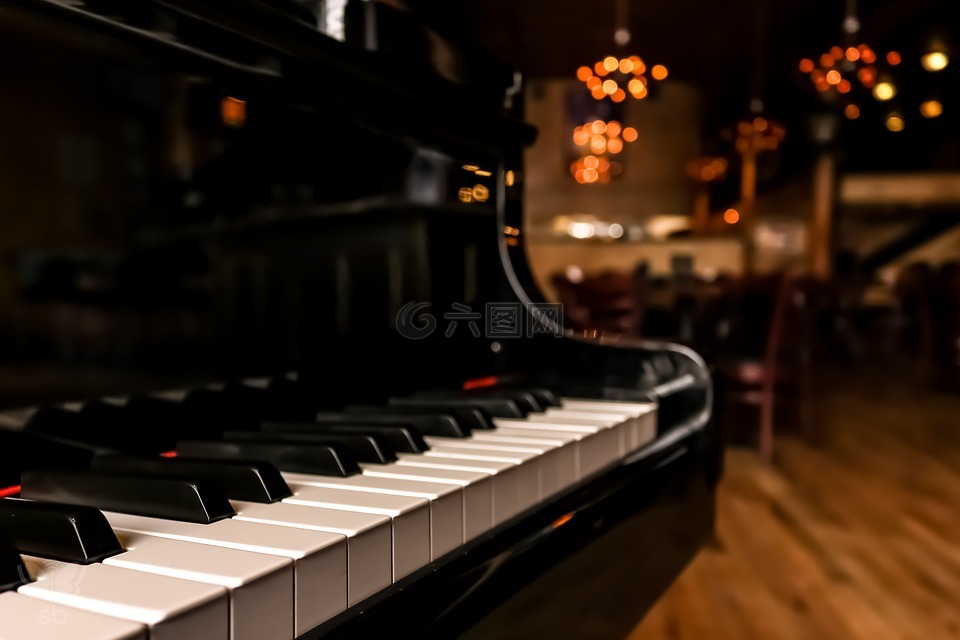 钢琴,仪器