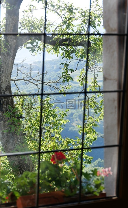 窗口,视图,树