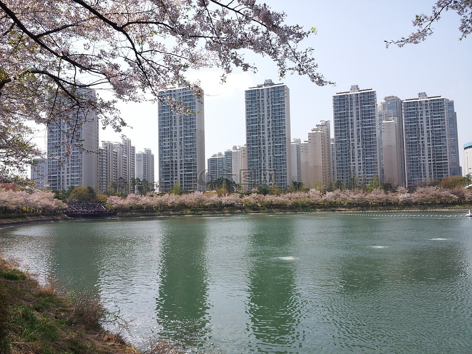 石村湖,宫湖,春天