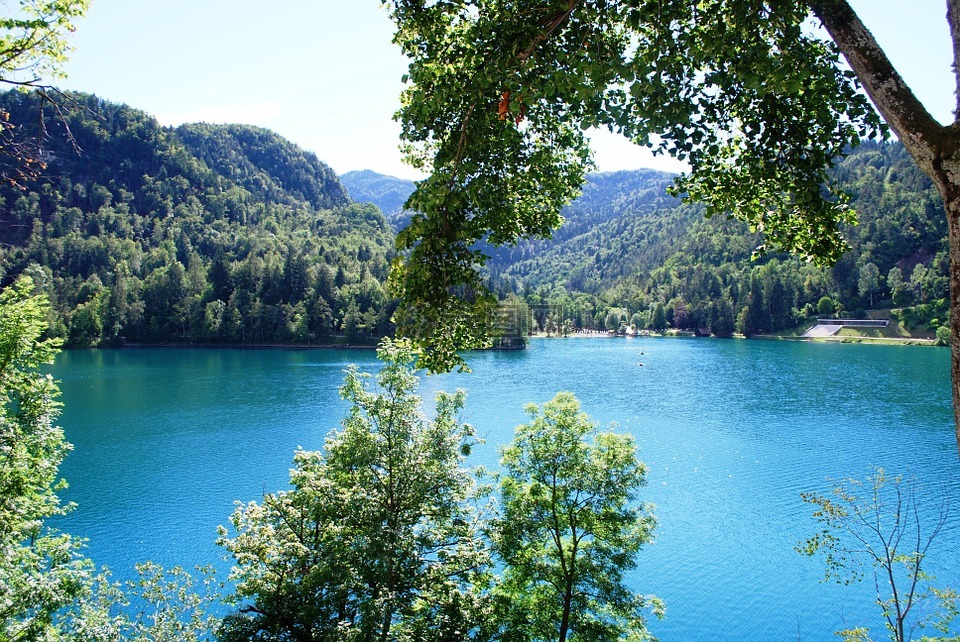 布莱德湖,斯洛文尼亚,自然