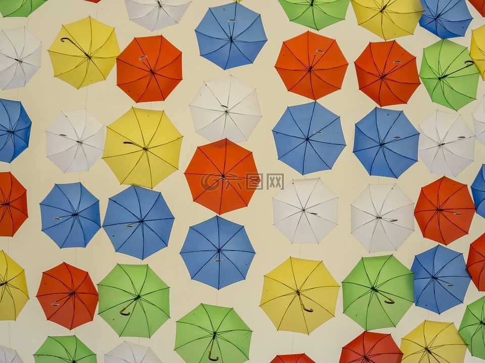 遮阳伞,颜色,伞