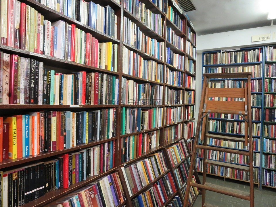 书籍,书店,知识