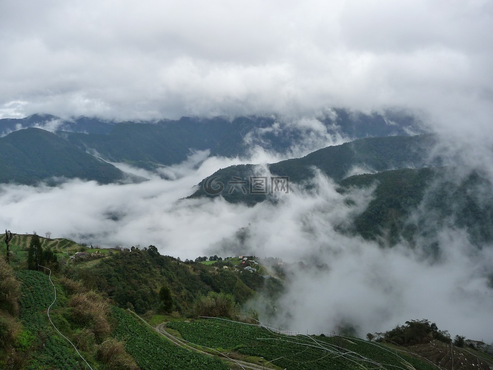 台灣,觀霧,雲海