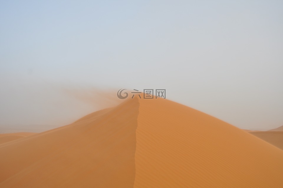 撒哈拉,沙漠,砂