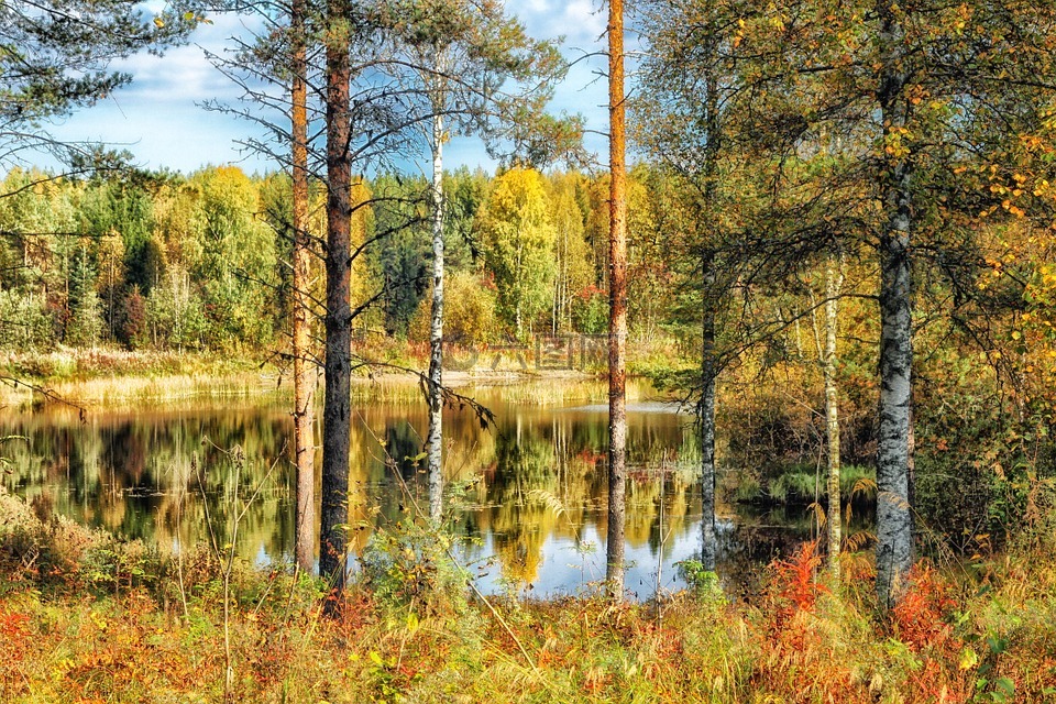 芬兰,人类发展报告,池