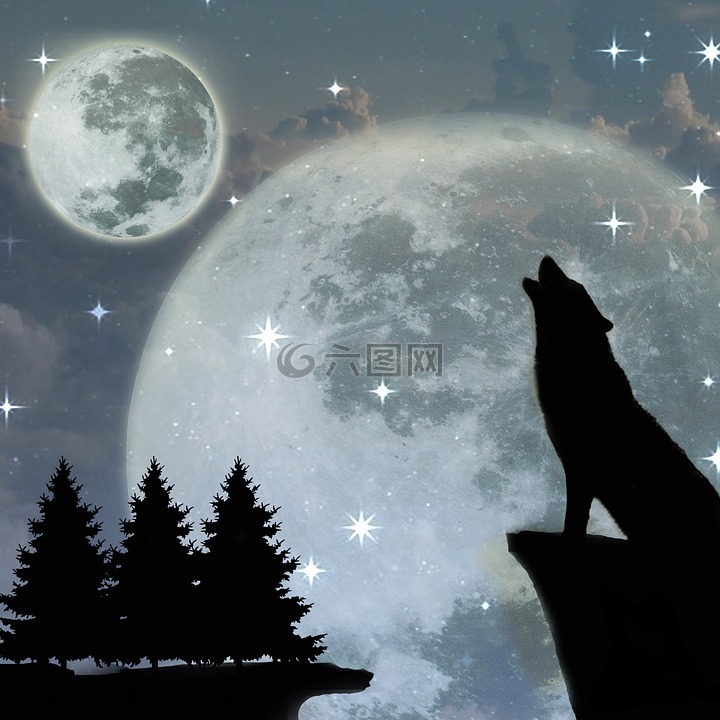 一条狼一个月亮图片图片