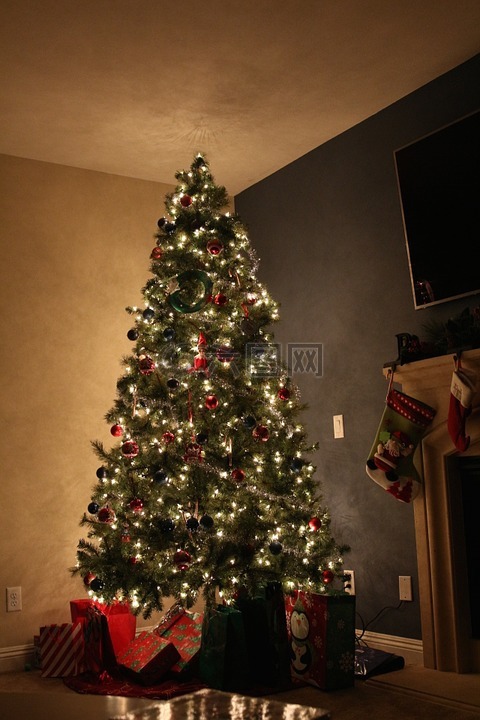圣诞节,树,神奇