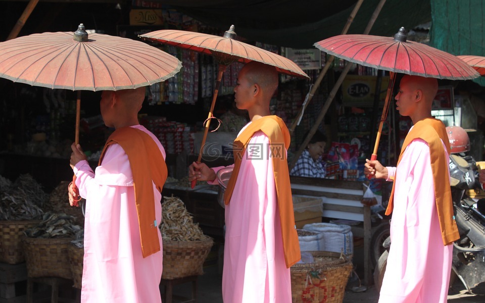 僧侣,缅甸,佛教
