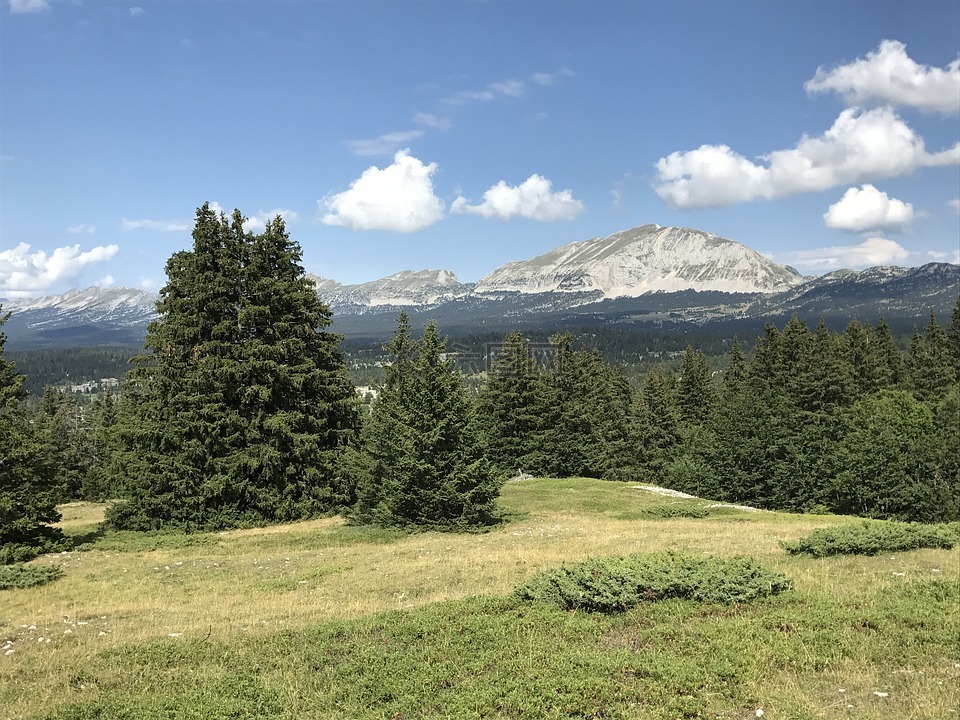 vercors,山,景观