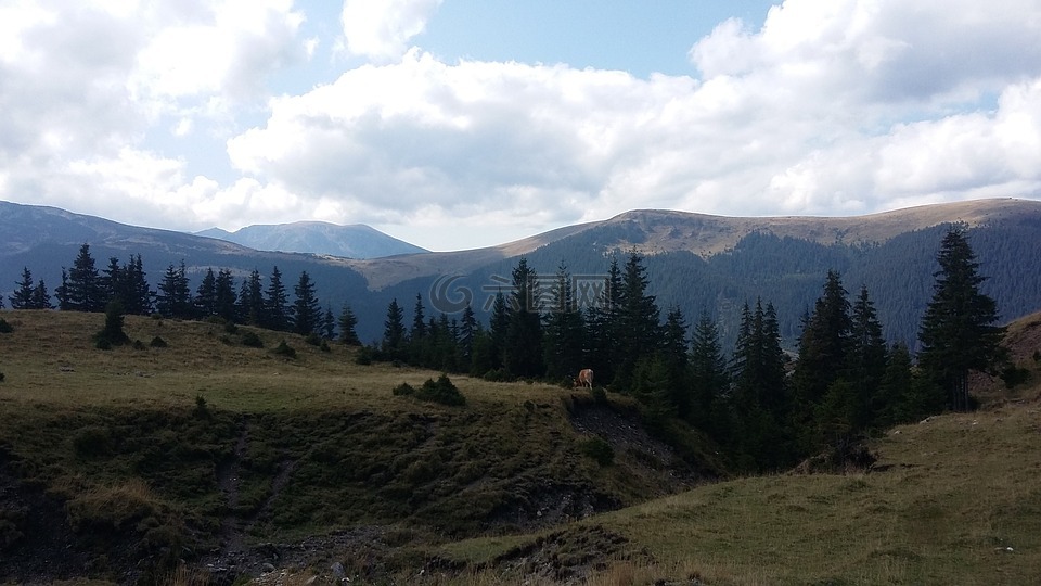 山,雲,樹高清圖庫素材免費下載(圖片編號:7452998)-六圖網