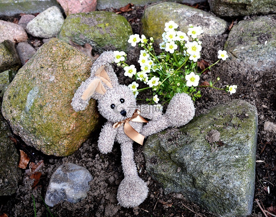 毛绒玩具,野兔,毛绒动物