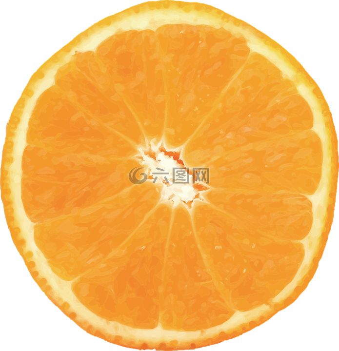 橙色,矢量,水果
