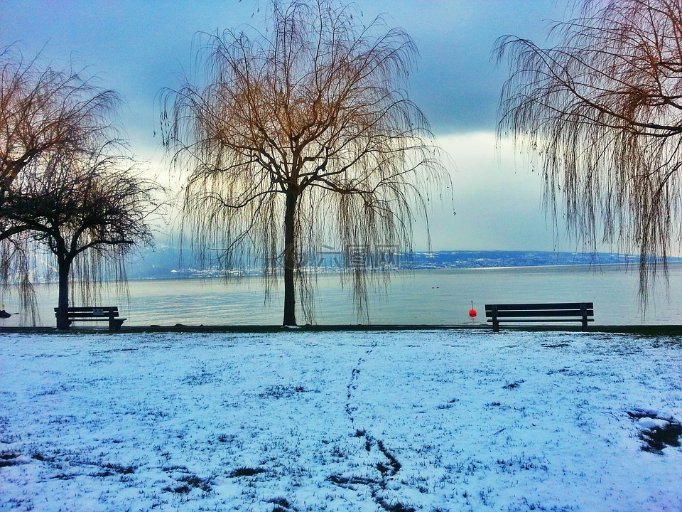 湖,冬天风景,雪景
