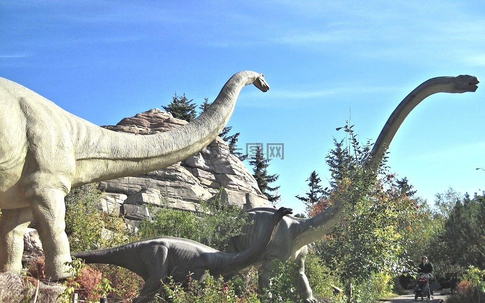 恐龙家族,阿尔伯塔省卡尔加里,动物园